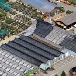 Garten Center Säriswil